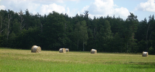 Bild Landwirtschaft