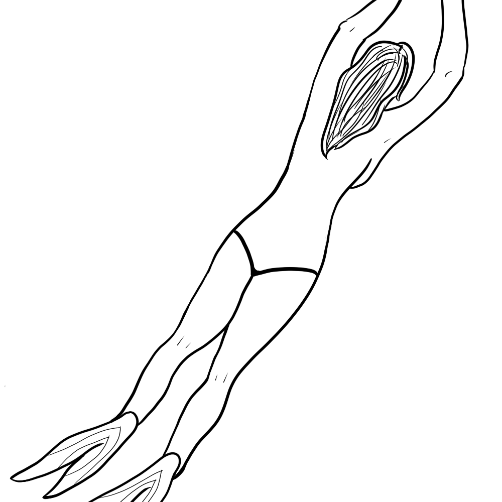 Diver