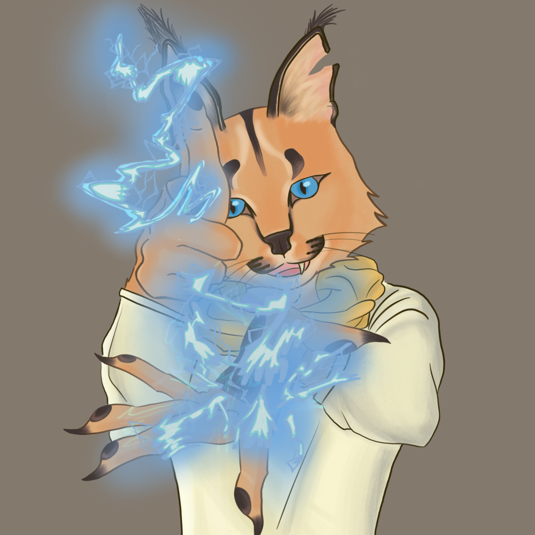 Dusk the Caracal