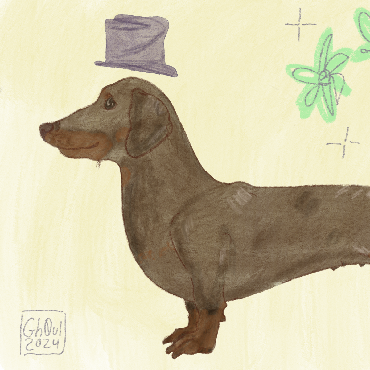 Dachshund