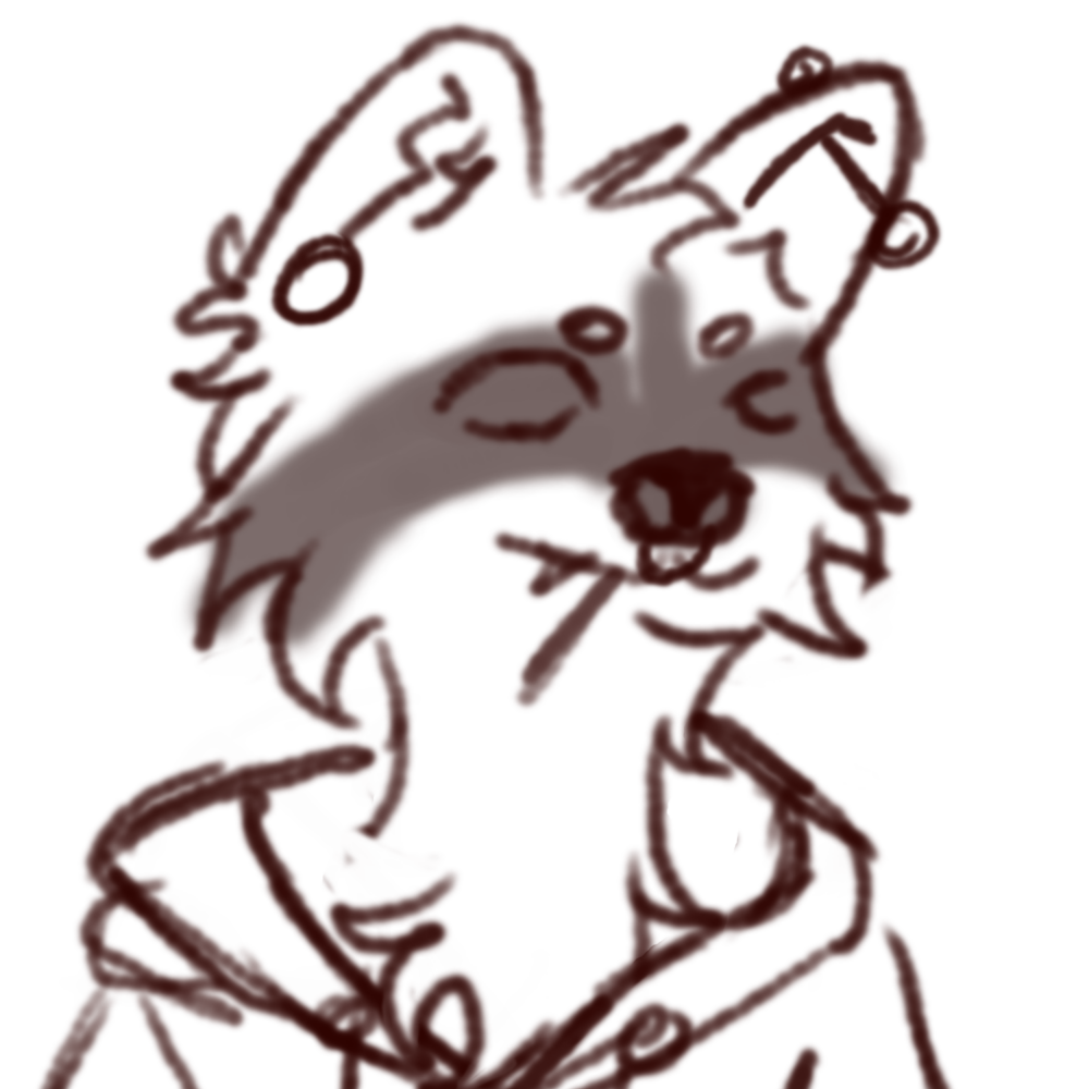 Raccoon with Lollipop