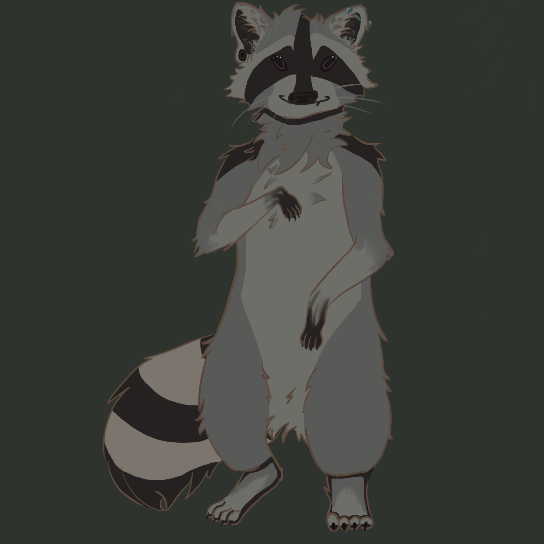 Raccoon